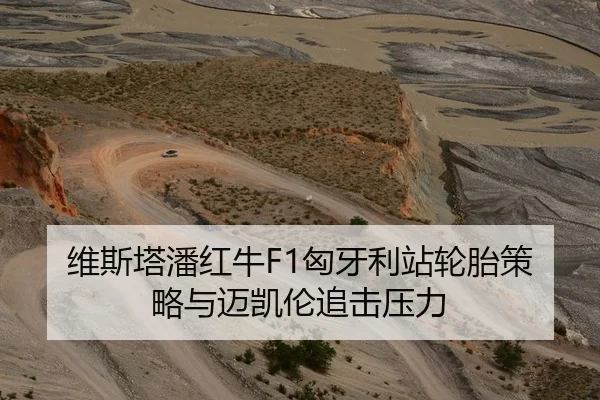 维斯塔潘红牛F1匈牙利站轮胎策略与迈凯伦追击压力