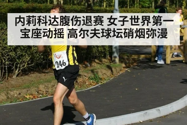 内莉科达腹伤退赛 女子世界第一宝座动摇 高尔夫球坛硝烟弥漫